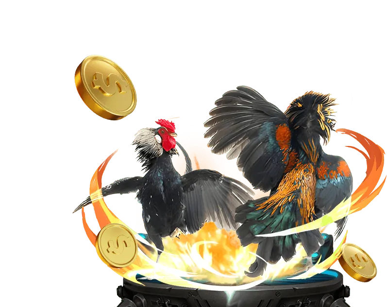 Quản lý vốn cược trong cá cược đá gà