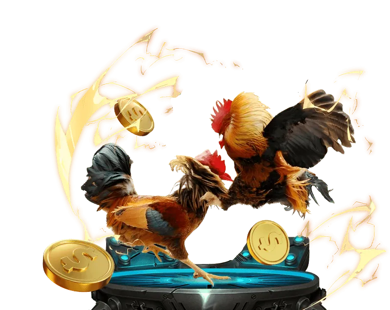 Đội ngũ hỗ trợ khách hàng 24/7 của đá gà thomo c3